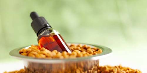 CBD Oil for Dog, Cat or other Animal