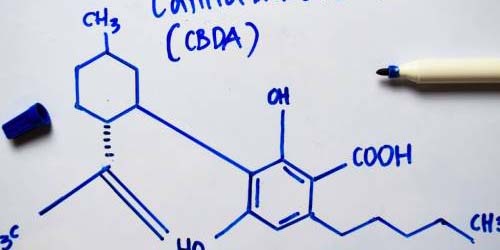 CBDA Cannabidiolic acid