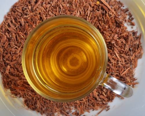 damiana herb tea