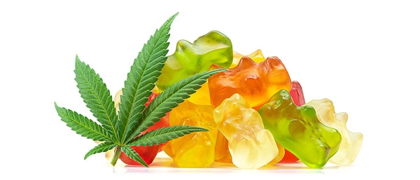 How to Make Edible Cannabis and Marijuana Gummies in Five Easy Steps