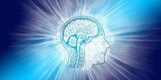 Is Dreaming the same as Tripping on Psychedelic Drugs?