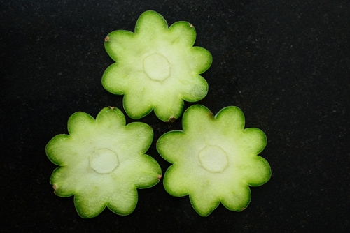 San Pedro Cactus Slices