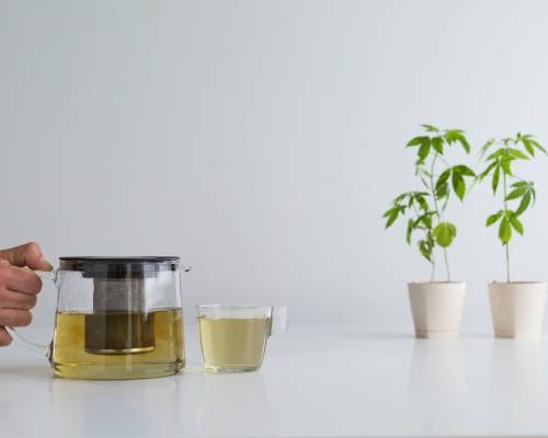 cannabis tea experiences